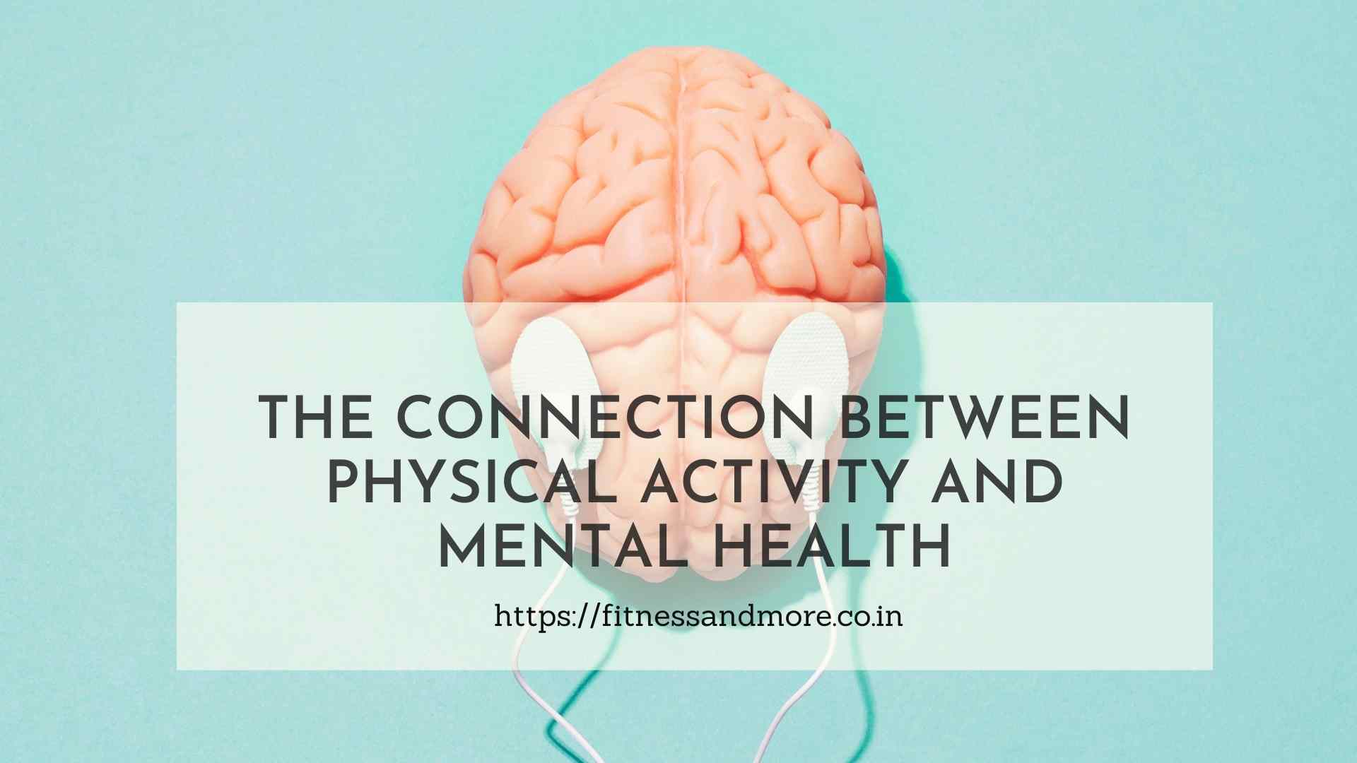 The Fit Connect - Physical Activity & Mental Health - Fitness And More