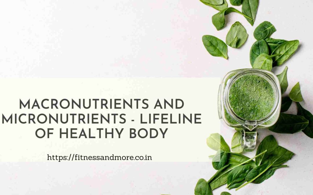 Macronutrients and Micronutrients – Lifeline of a Healthy Body