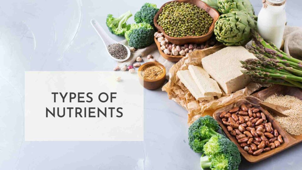 Types of Macronutrients and Micronutrients