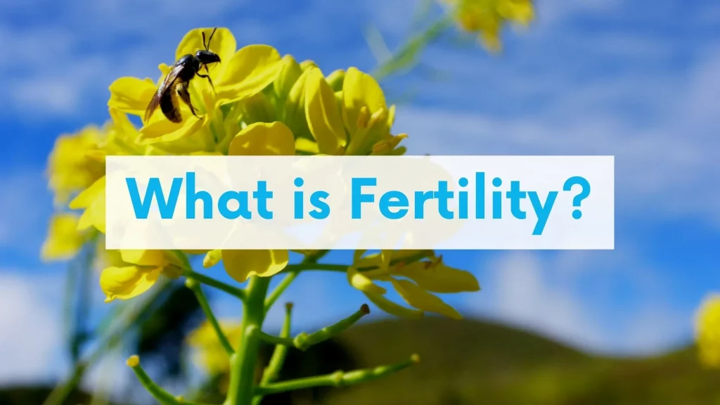 What is fertility
