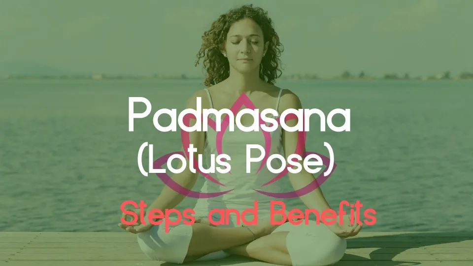 Padmasana or Lotus Pose | Benefits of Padmasana | 7 Steps to perform Padmasana