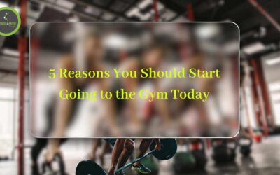 5 Reasons You Should Start Going to the Gym Today