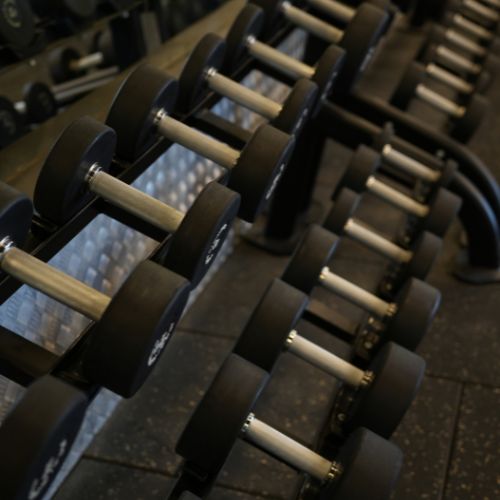 Fitness and more golf course road sector 27 3