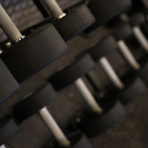 Fitness and more golf course road sector 27 6