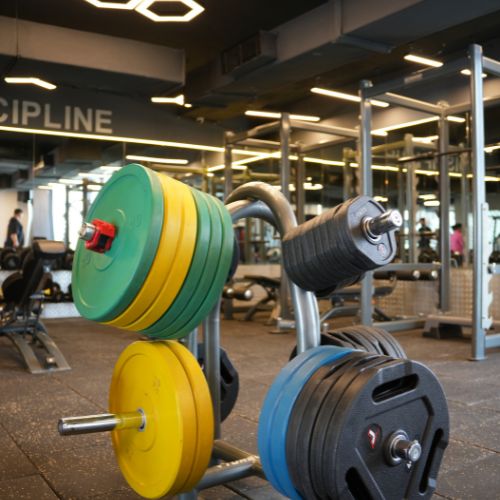 Fitness and more golf course road sector 27 8